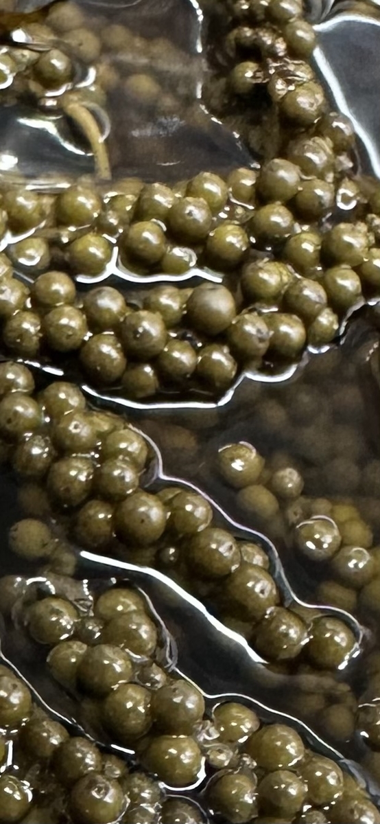 コショウお酢 Amazon.co.jp: 美酢 太陽のシトラス 900ml X4本 ミチョ みちょ お酢